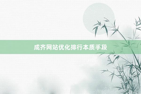 成齐网站优化排行本质手段