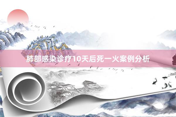肺部感染诊疗10天后死一火案例分析