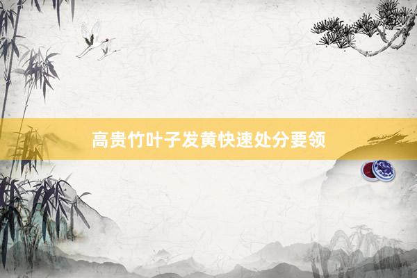 高贵竹叶子发黄快速处分要领